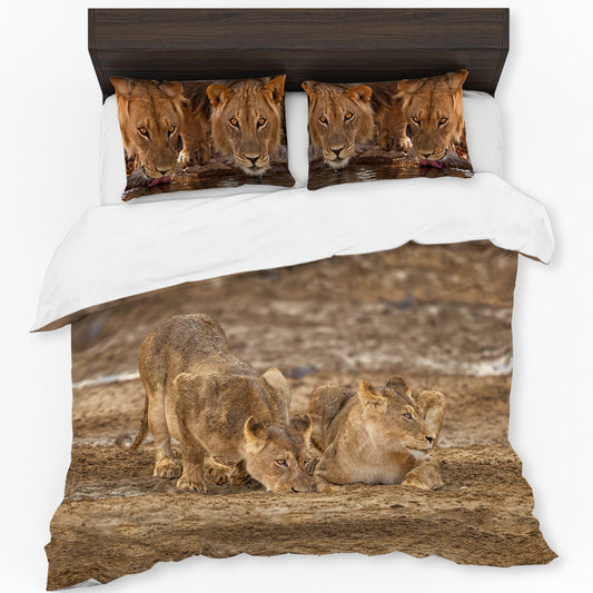 Lion Leeu Panthera Leo By Fanie Heymans Duvet Cover Set