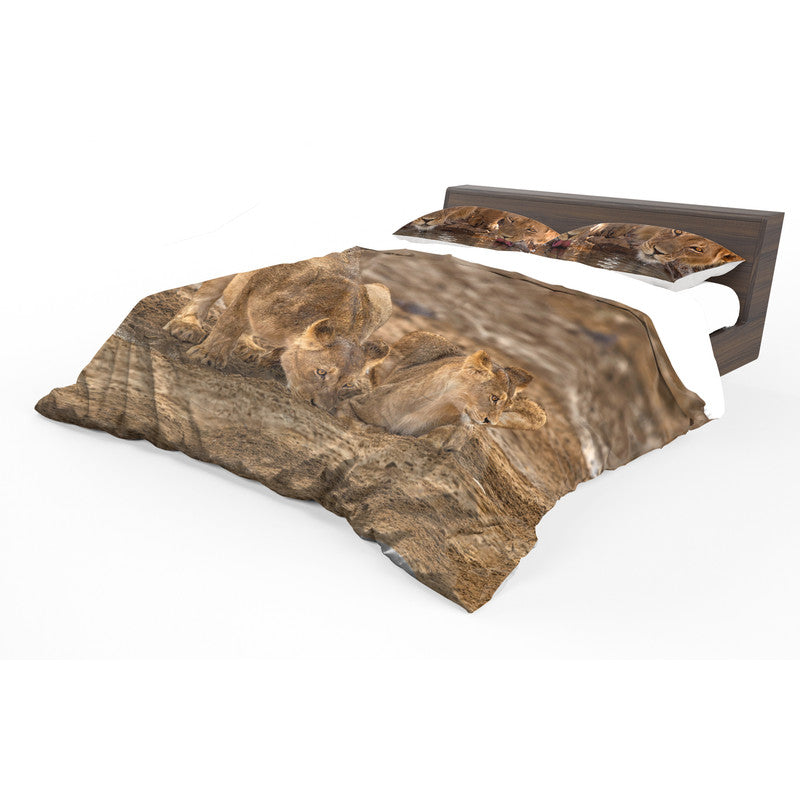 Lion Leeu Panthera Leo By Fanie Heymans Duvet Cover Set