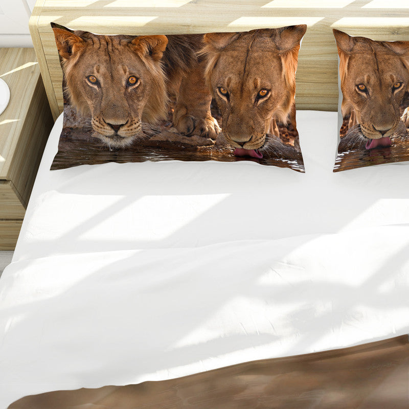 Lion Leeu Panthera Leo By Fanie Heymans Duvet Cover Set