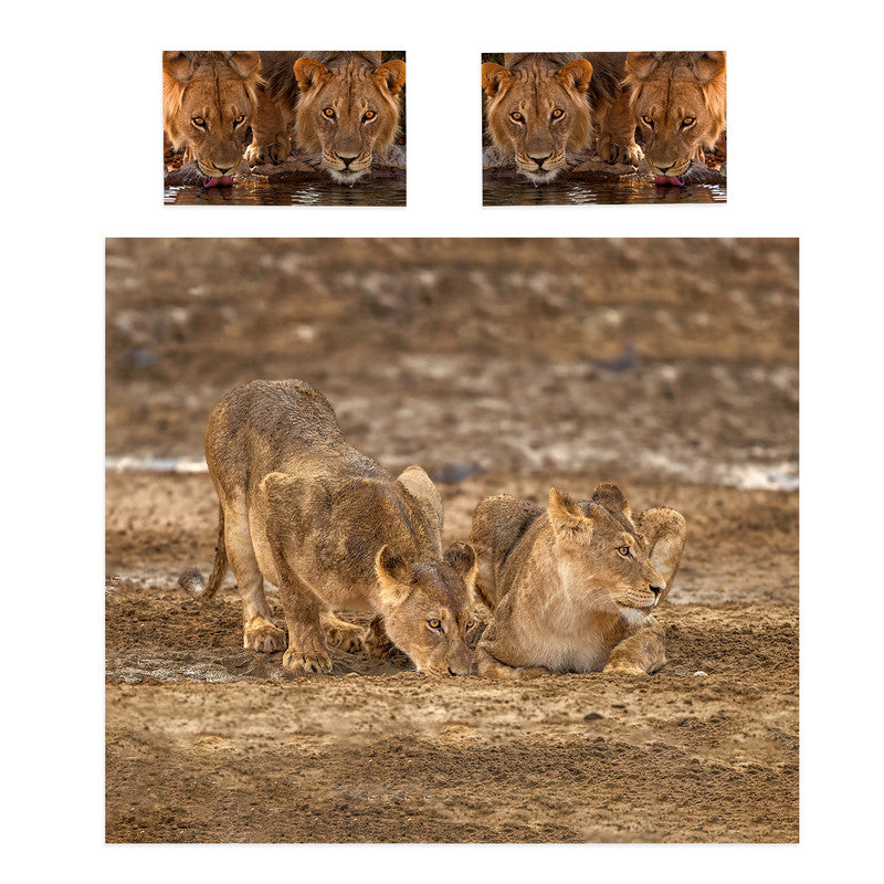 Lion Leeu Panthera Leo By Fanie Heymans Duvet Cover Set