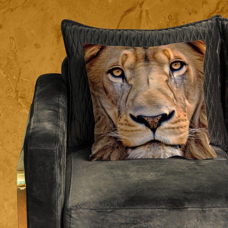 Lion Pride Luxury Scatter