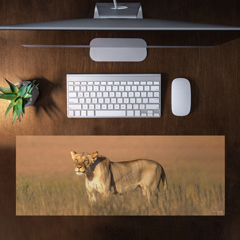 Lioness Kgalagadi Desk Pad by Fanie Heymans