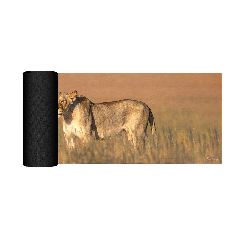 Lioness Kgalagadi Desk Pad by Fanie Heymans