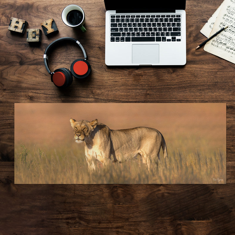 Lioness Kgalagadi Desk Pad by Fanie Heymans