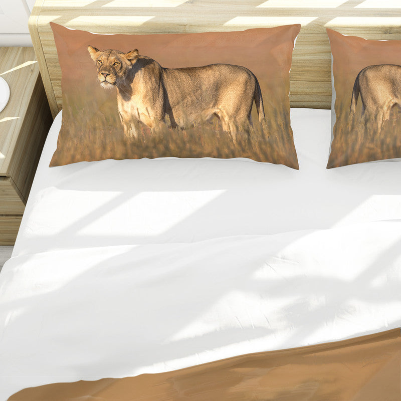 Lioness Kgalagadi Duvet Cover Set by Fanie Heymans
