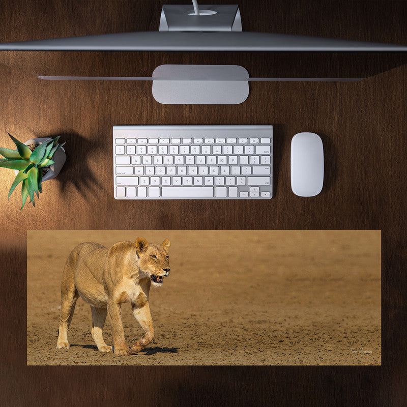 Lioness Strolling in Nossob River bed Large Desk Pad By Fanie Heymans