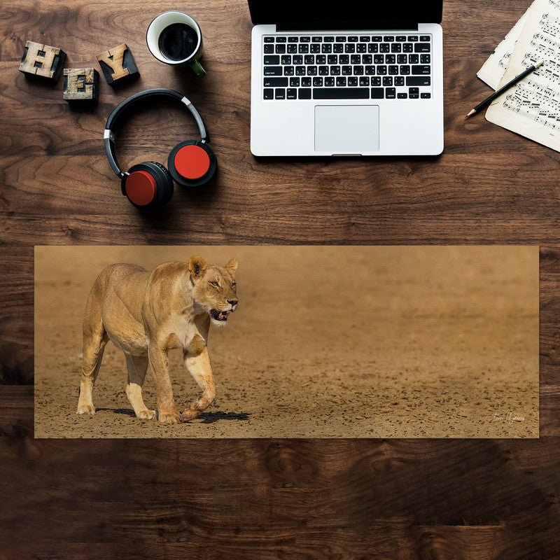 Lioness Strolling in Nossob River bed Large Desk Pad By Fanie Heymans