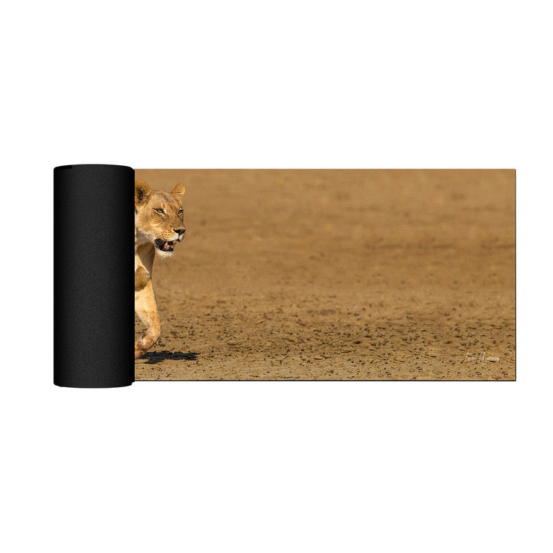 Lioness Strolling in Nossob River bed Large Desk Pad By Fanie Heymans