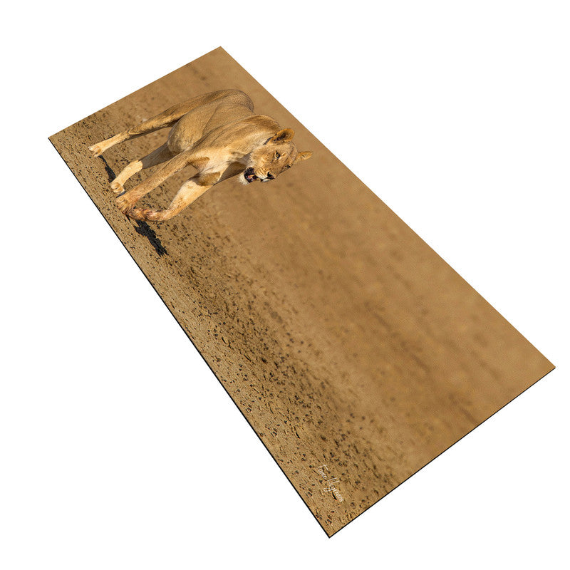 Lioness Strolling in Nossob River bed Large Desk Pad By Fanie Heymans