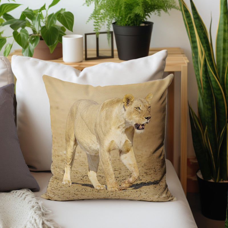 Lioness Strolling in Nossob River Bed Luxury Scatter By Fanie Heymans