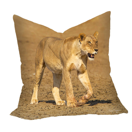 Lioness Strolling in Nossob River Bed Luxury Scatter By Fanie Heymans
