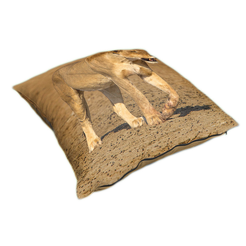 Lioness Strolling in Nossob River Bed Luxury Scatter By Fanie Heymans