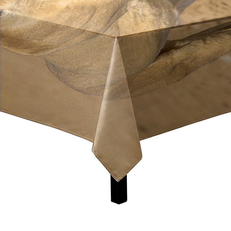 Lioness Strolling in Nossob Riverbed Square Tablecloth By Fanie Heymans