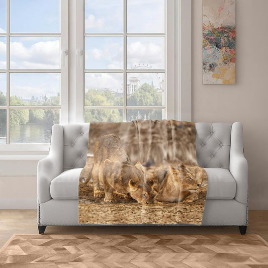 Lions Resting Light Weight Fleece Blanket By Fanie Heymans