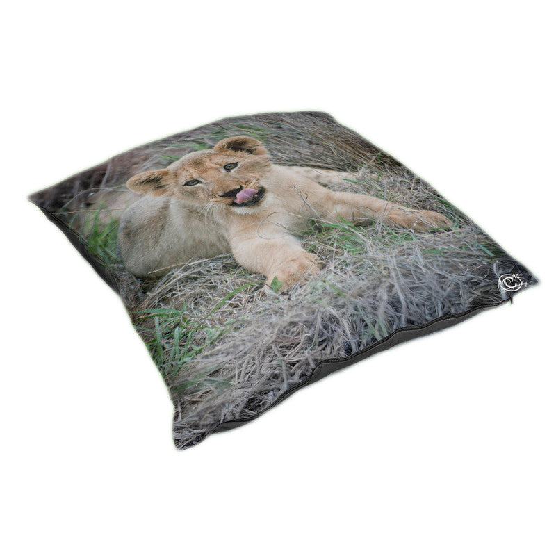 Lip Licking Cub Luxury Scatter by Ferdie Muller