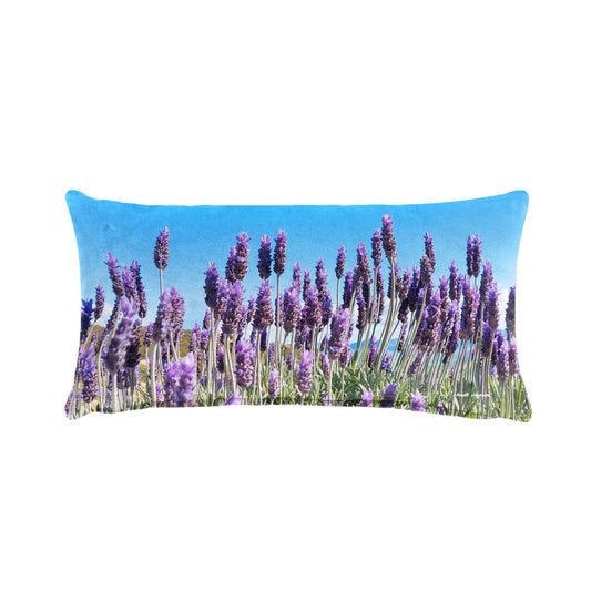 Lovely Lavenders Oblong Luxury Scatter by Annette Heymans
