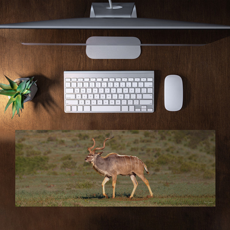 Male Kudu Large Desk Pad by Fanie Heymans