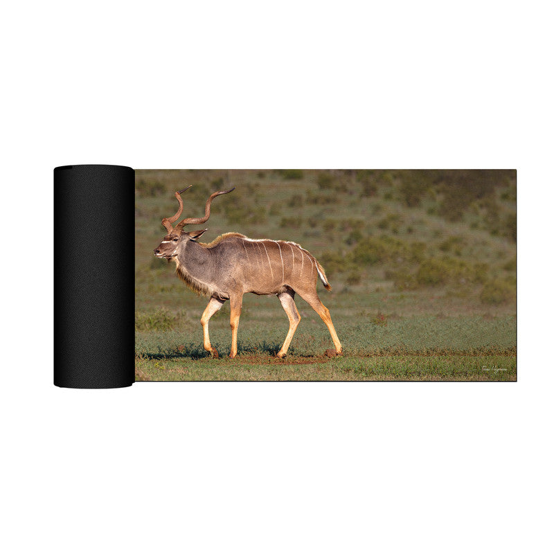 Male Kudu Large Desk Pad by Fanie Heymans