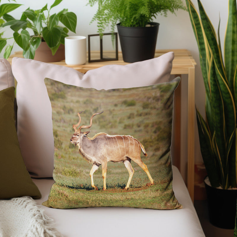 Male Kudu Luxury Scatter by Fanie Heymans