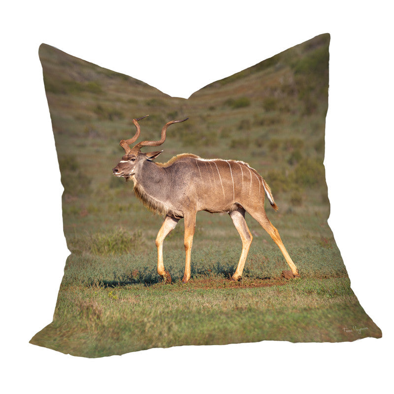 Male Kudu Luxury Scatter by Fanie Heymans