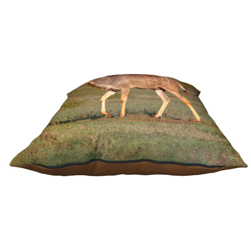 Male Kudu Luxury Scatter by Fanie Heymans