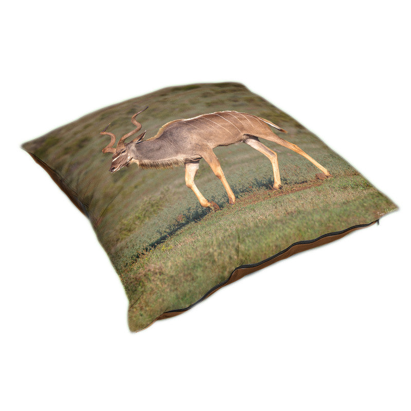 Male Kudu Luxury Scatter by Fanie Heymans