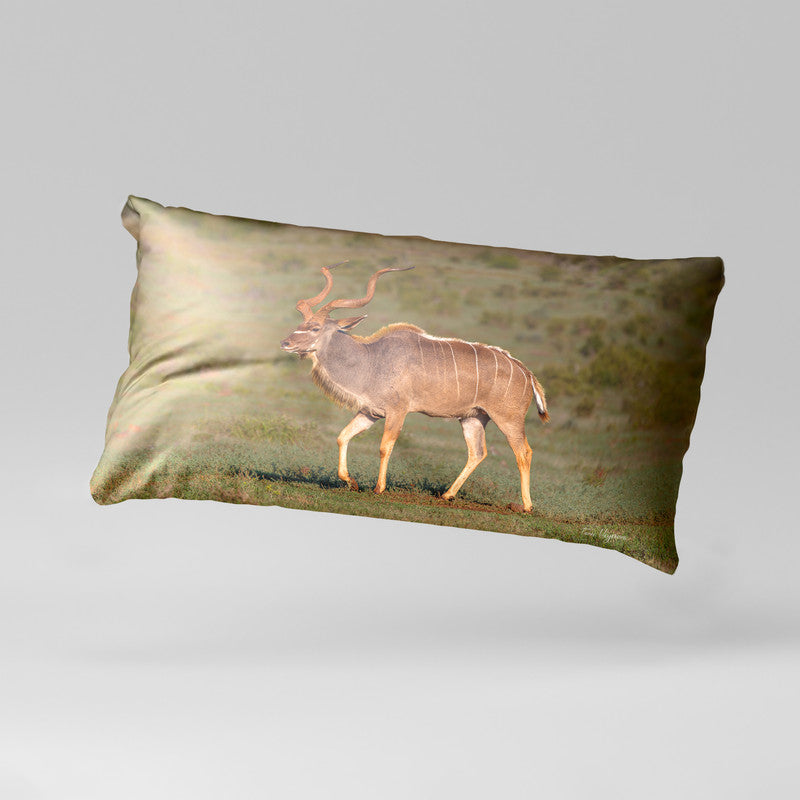 Male Kudu Oblong Luxury Scatter by Fanie Heymans