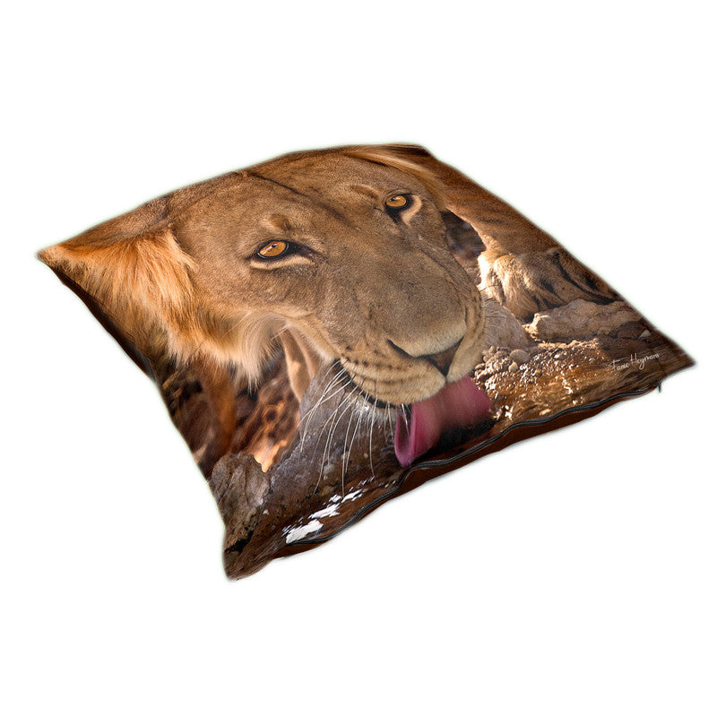 Drinking Male Lion Kgalagadi Luxury Scatter By Fanie Heymans