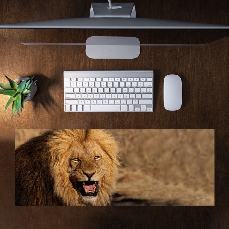 Male Lion Large Desk Pad By Fanie Heymans