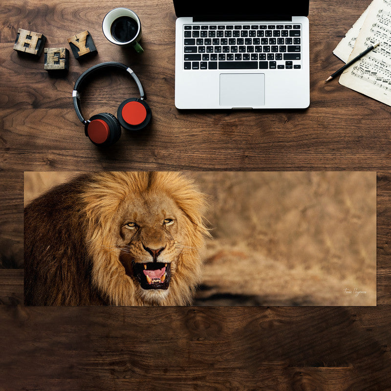 Male Lion Large Desk Pad By Fanie Heymans