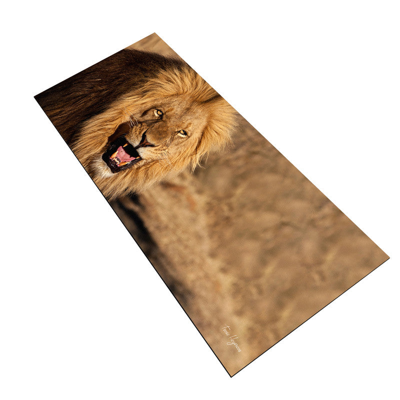 Male Lion Large Desk Pad By Fanie Heymans