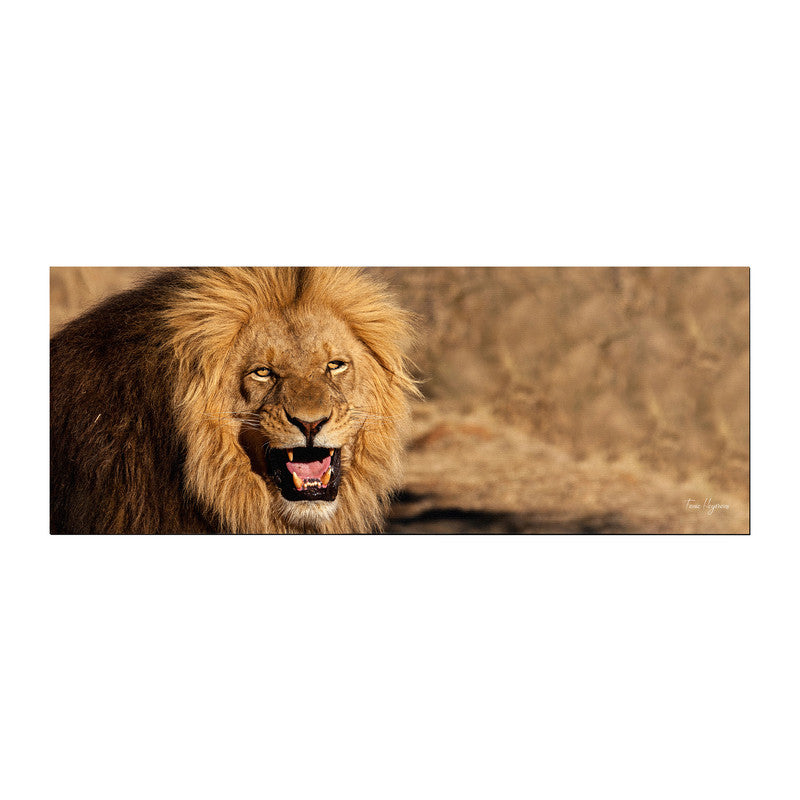 Male Lion Large Desk Pad By Fanie Heymans
