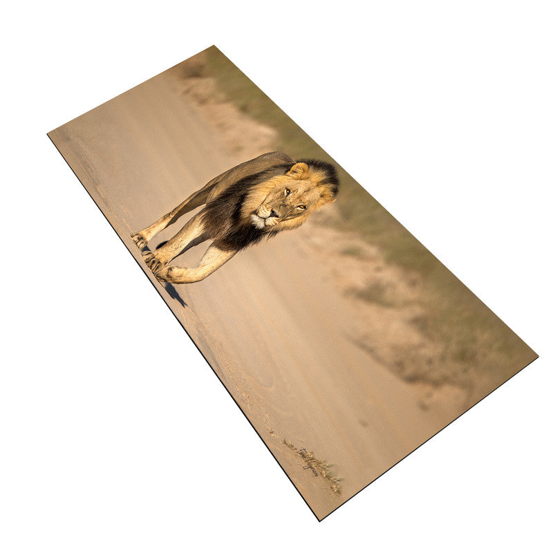 Male Lion Large Desk Pad by Fanie Heymans