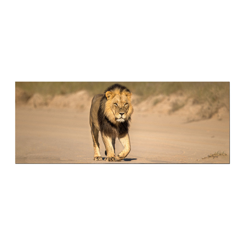 Male Lion Left Desk Pad by Fanie Heymans