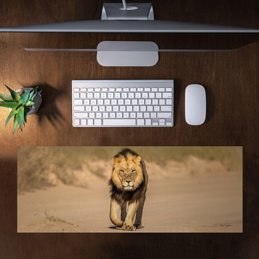 Male Lion Middle Desk Pad by Fanie Heymans