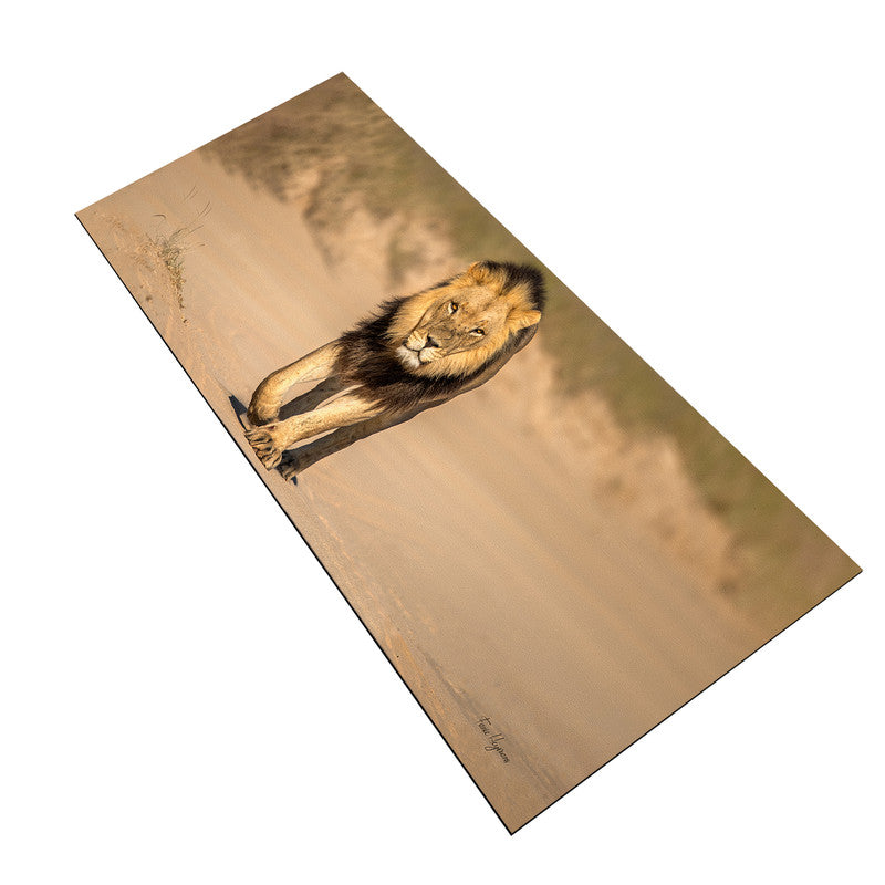 Male Lion Middle Desk Pad by Fanie Heymans