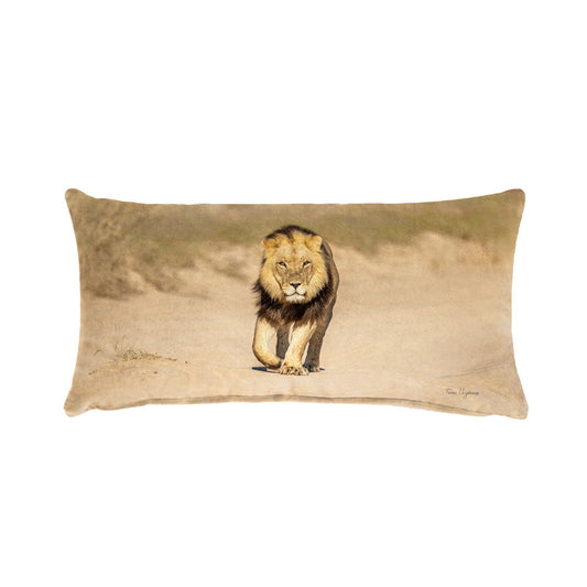 Male Lion Middle Oblong Luxury Scatter by Fanie Heymans