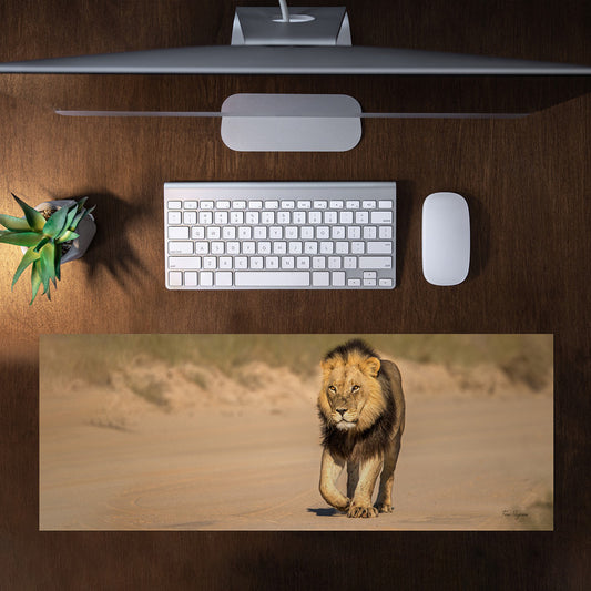 Male Lion Right Desk Pad by Fanie Heymans