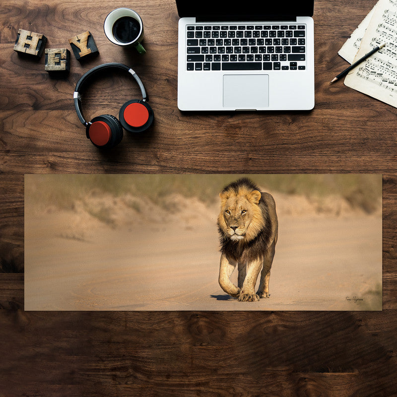 Male Lion Right Desk Pad by Fanie Heymans