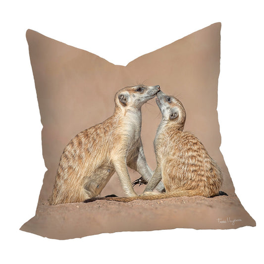 Meerkat Baby with Mom Luxury Scatter By Fanie Heymans
