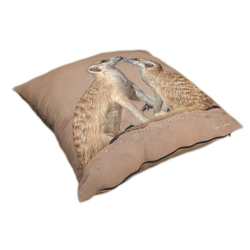 Meerkat Baby with Mom Luxury Scatter By Fanie Heymans