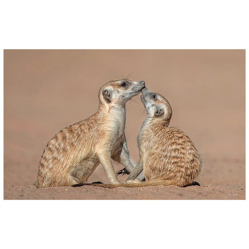 Meerkat Baby with Mom By Fanie Heymans Rectangle Tablecloth