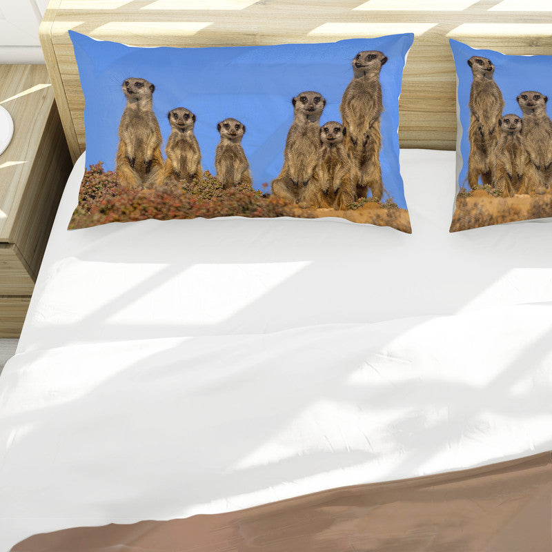 Meerkat By Fanie Heymans Duvet Cover Set
