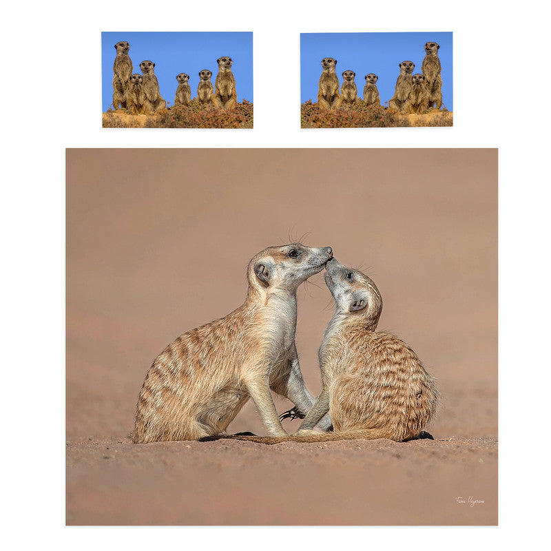 Meerkat By Fanie Heymans Duvet Cover Set