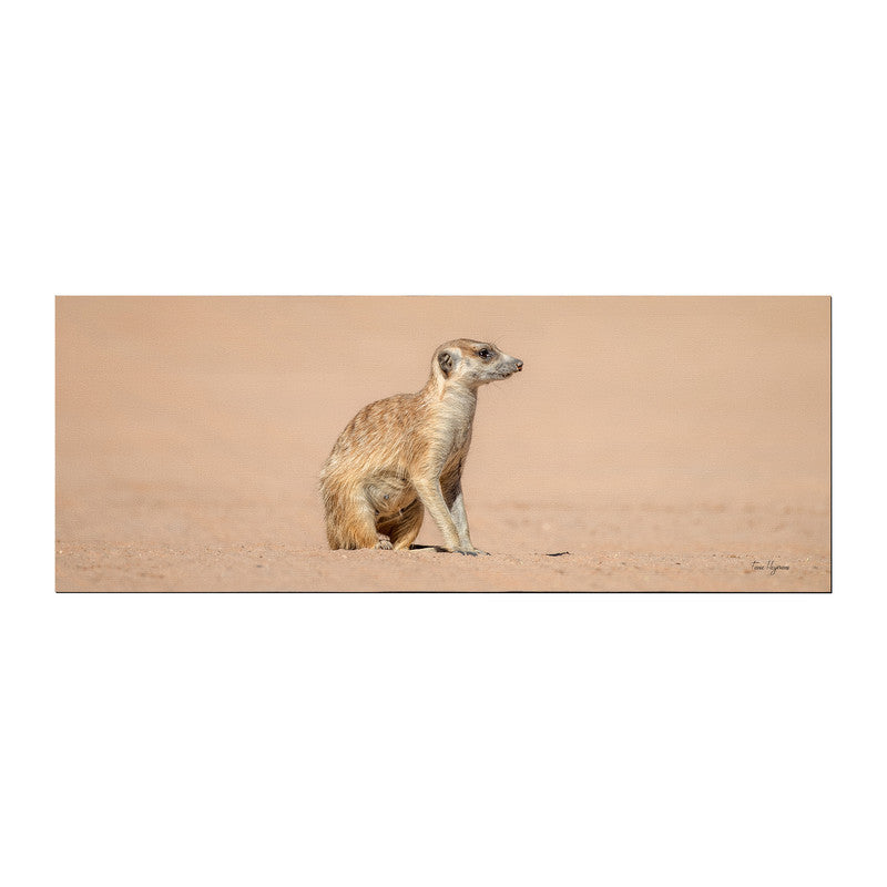 Meerkat Female Left Desk Pad by Fanie Heymans
