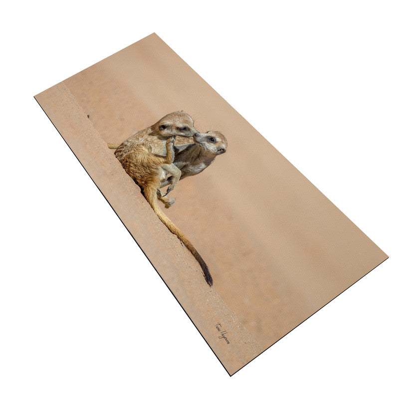 Meerkat Playing Middle Desk Pad by Fanie Heymans