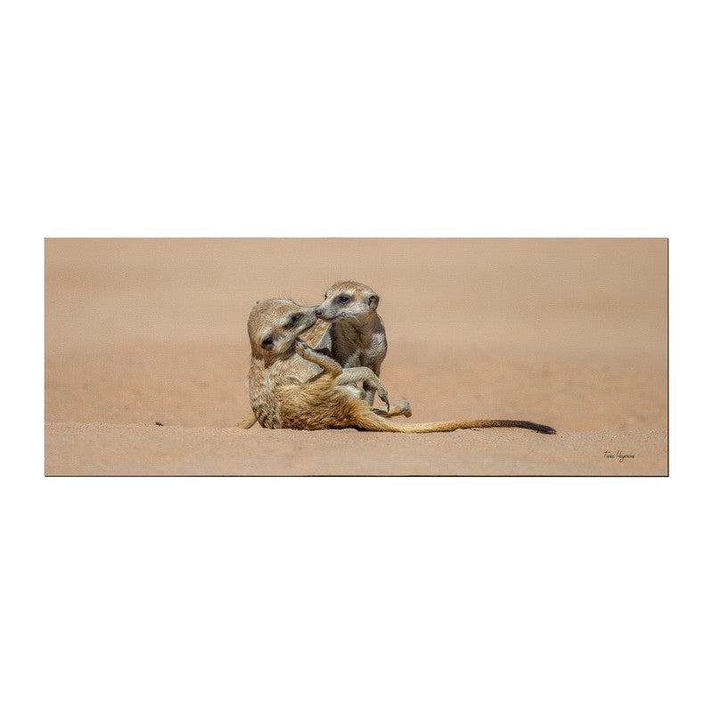 Meerkat Playing Middle Desk Pad by Fanie Heymans