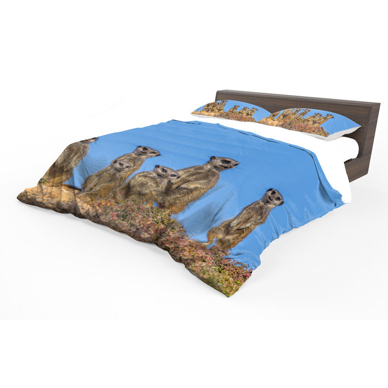 Meerkat Stare Duvet Cover Set by Fanie Heymans