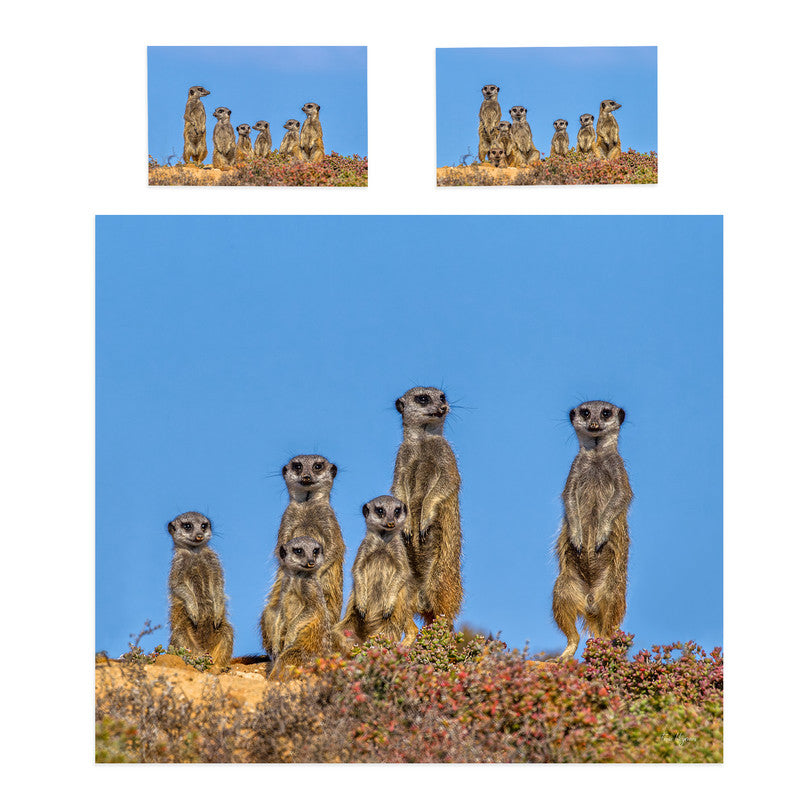 Meerkat Stare Duvet Cover Set by Fanie Heymans
