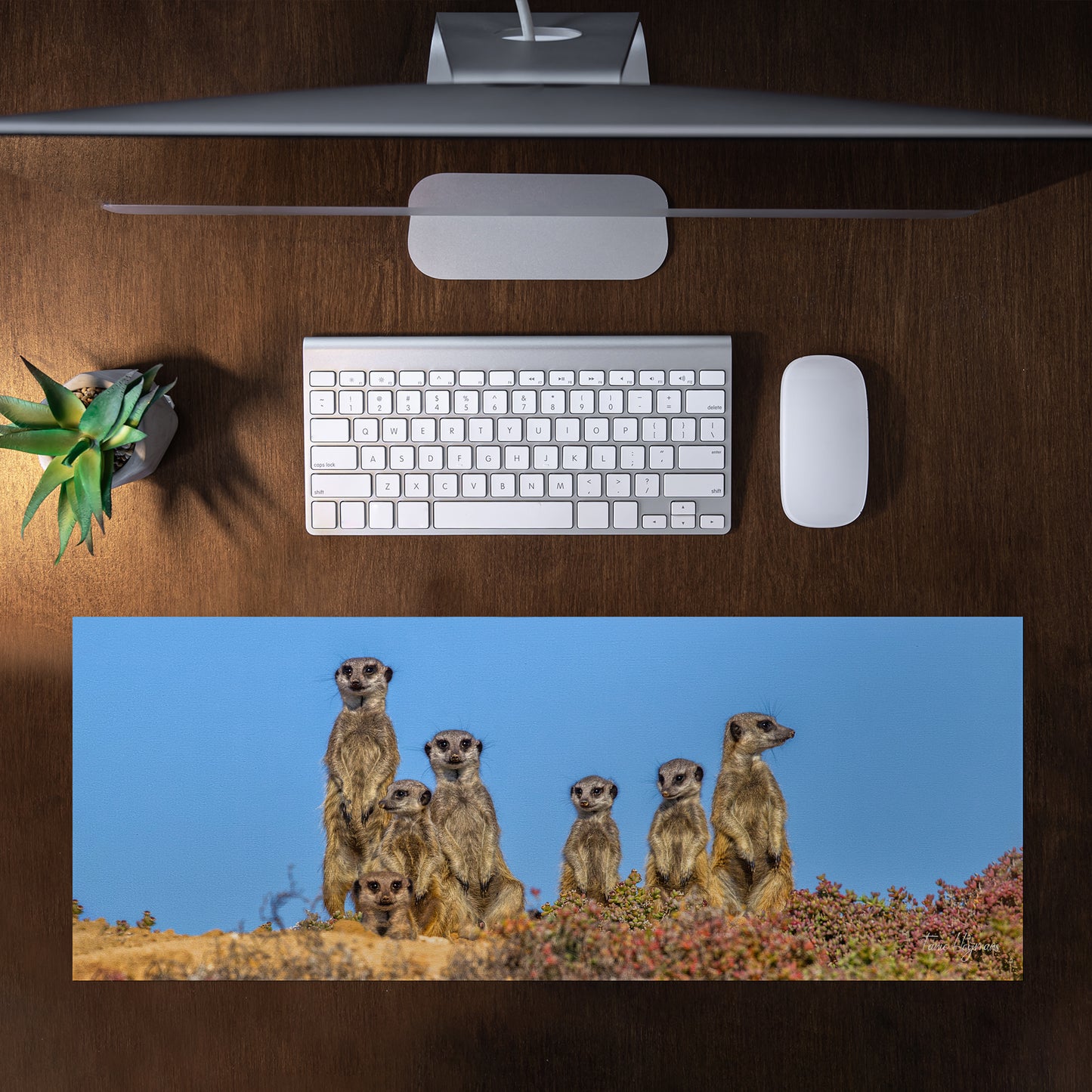 Meerkat Family Desk Pad by Fanie Heymans